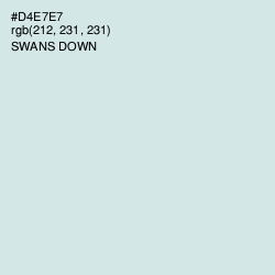 #D4E7E7 - Swans Down Color Image